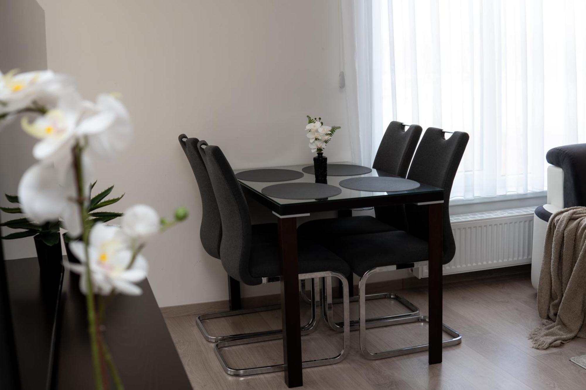 Bnb New Beautiful Apartment In The Center Of Ostrava With Option Garage Parking Extérieur photo